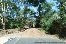 Traversée par un passage à gué de la rivière Tsavo