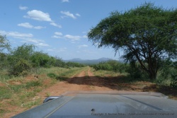 Des paysages d'Afrique de l'Est, tels qu'on les rêve