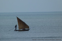 Les pêcheurs vont et viennent toute la matinée