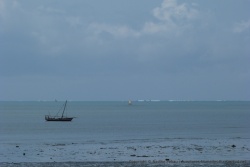 Partout où le regard se porte, les pêcheurs sont là avec leur rustique embarcation