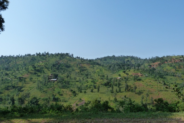 Paysages très bucoliques des cultures autour des maisons des fermiers