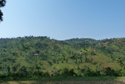 Paysages très bucoliques des cultures autour des maisons des fermiers