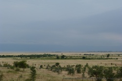 C'est maintenant des paysages caractéristiques de la steppe Masai que nous contemplons