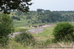 Le coin est superbe, en particulier avec des éléphants