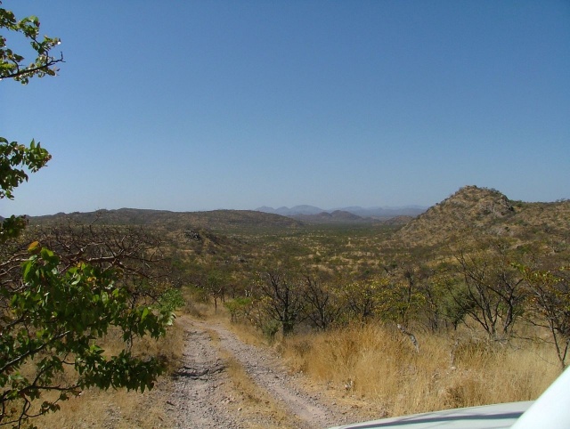 afs_2008_1105(006)