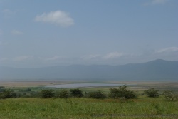 Belle vue dela caldeira du Ngorongoro