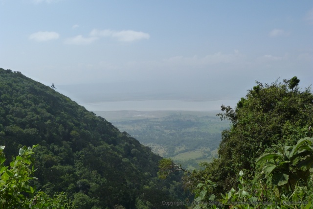 Vue sur le lac Magadi depuis les parois très boisée du cratère