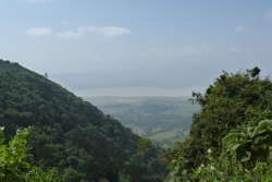 Vue sur le lac Magadi depuis les parois très boisée du cratère