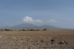 Les paysages sont devenus très secs dans la plaine