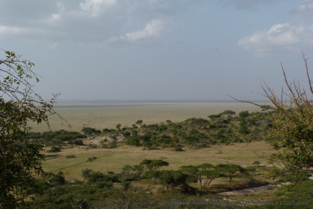 Belle vue depuis la colline à l'entrée du Serengeti