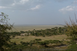 Belle vue depuis la colline à l'entrée du Serengeti