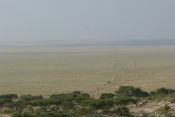 Depuis le Viewpoint, on distingue très bien les chemins tracés par les animaux, ici des éléphants, minuscules
