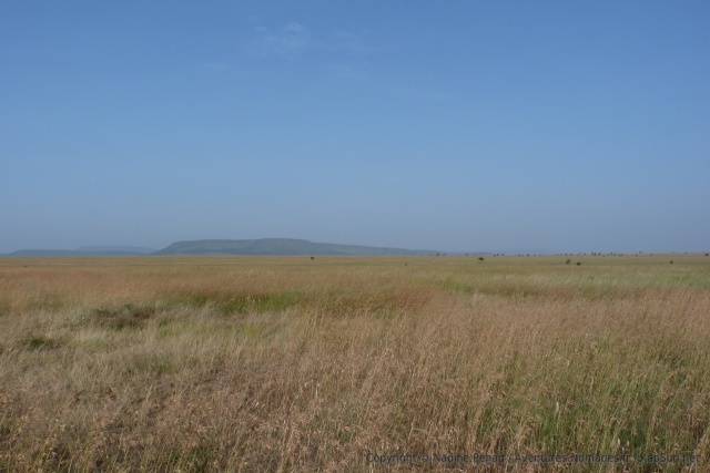 Plaines immenses du Serengeti