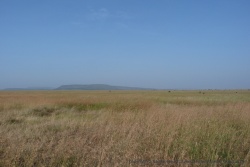 Plaines immenses du Serengeti