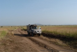 Totoy aussi apprécie beaucoup les étendues sauvages du Serengeti