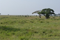 De ce côté, plus personne