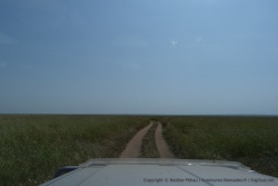 Une piste africaine comme on les aime