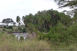 Une petite rivière transforme totalement le paysage