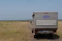 Même Totoy est impressionné par cette phénoménale migration