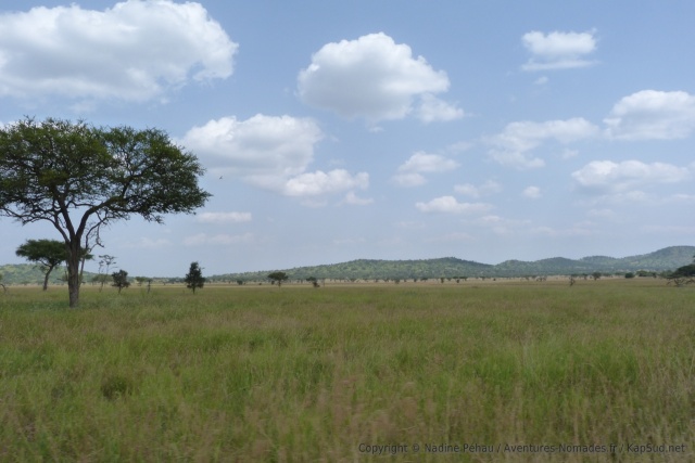Outre une faune sauvage extraordinaire, le Serengeti abrite également de très beaux paysages