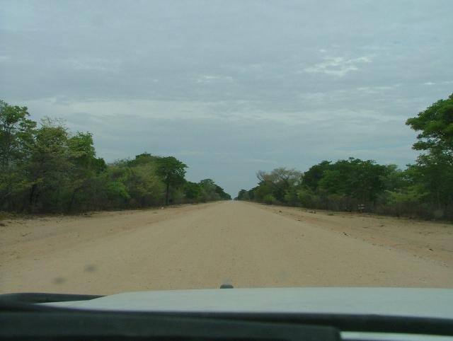 afs_2008_1107(005)