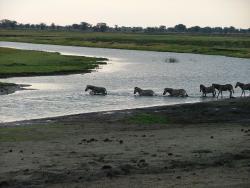 Botswana 2ème partie : De Caprivi Strip à Chope NP