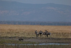 Un joli panorama du parc Katavi