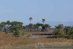 De beaux panoramas, très sauvages, sont la marque de Katavi
