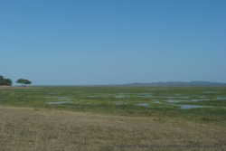 Le lac Katavi recèle encore la précieuse eau source de vie