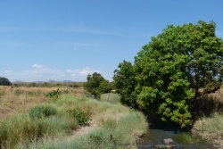 Dans la vallée, une petite rivière amène l'eau, indispensable pour les cultures et autres activités humaines