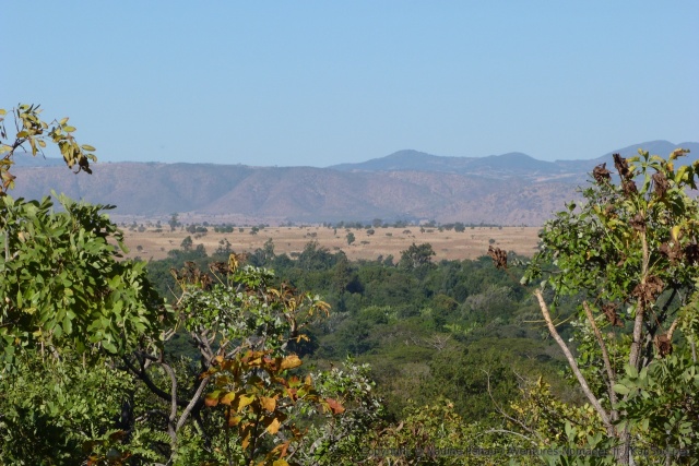 Vue sur le grand rift