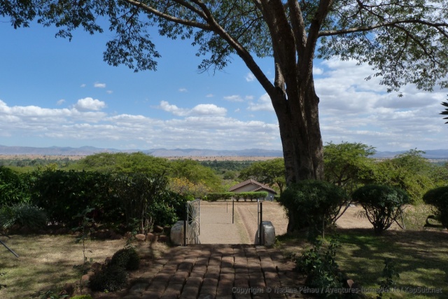 Le Utengele Coffee Lodge est superbement placé sur le Grand Rift