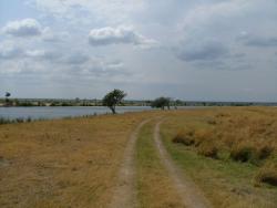 afs_2008_1109(006)
