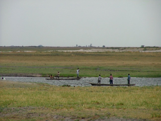 afs_2008_1109(006)