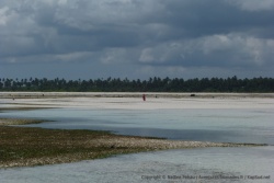 1ère partie - Tanzanie : Zanzibar