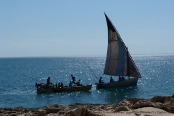 Tanzanie & Zanzibar - Mozambique - Afrique du Sud 2012