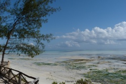Vue paradisiaque depuis notre bungallow