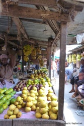 Le marché principal de Stone Town foisonne également de fruits tropicaux