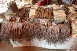 Etal spectaculaire de poissons et crustacés séchés