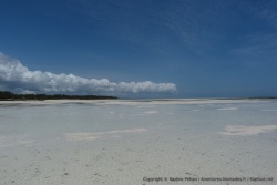 La mer s'est retirée, découvrant un sable à la blancheur immaculée