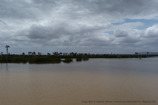 Superbe panorama du Selous