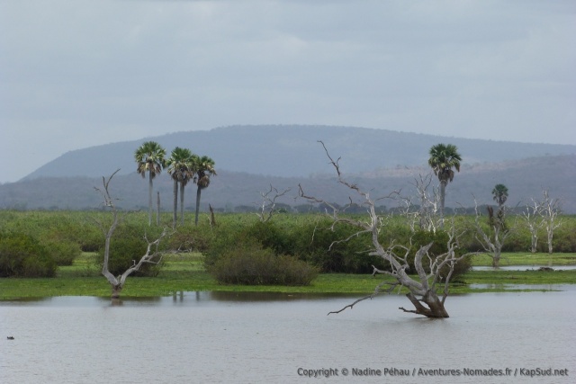 Les lacs ont été formés lors d'une crue exceptionnelle de la rivière Rufiji