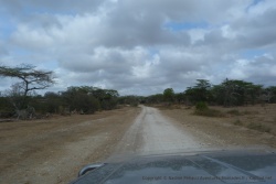 Paysages de bush aride dans cette partie du Selous