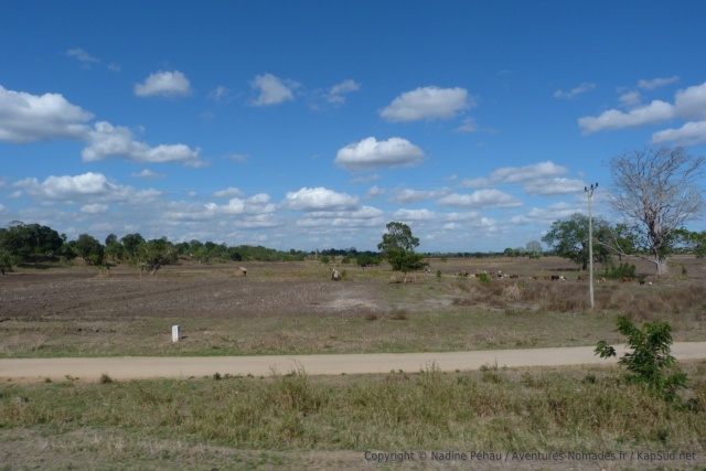 La région du delta de la rivière Rufiji est propice à l'agriculture