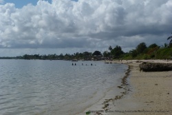 La plage concentre toutes les activités de travail mais aussi de plaisir