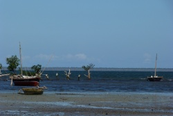 Petit port de Quissanga