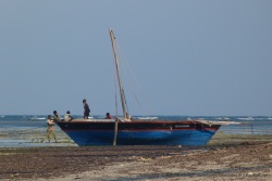 La pêche est une activité importante bien qu'artisanale