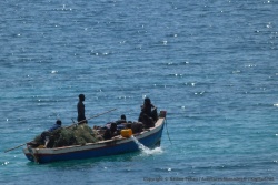 Les pêcheurs sont à pied d'oeuvre, encore et toujours