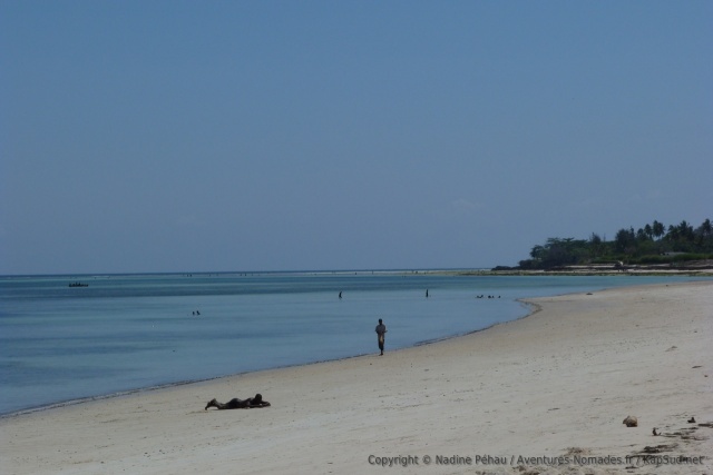 Plage paradisiaque de Wimbe