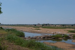 Que cela soit au bord de la mer, ou au bord d'une rivière, l'eau est source de vie